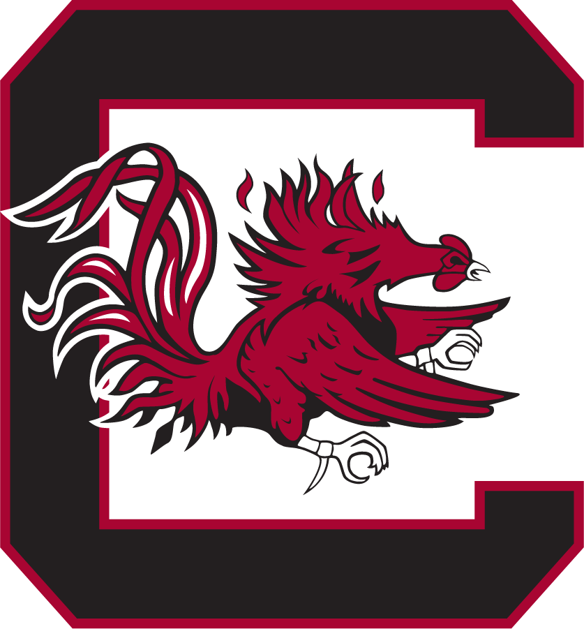 South Carolina Gamecocks 1975-1983 Alternate Logo diy iron on heat transfer